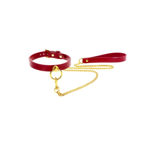 O-Ring Collar and Chain Leash